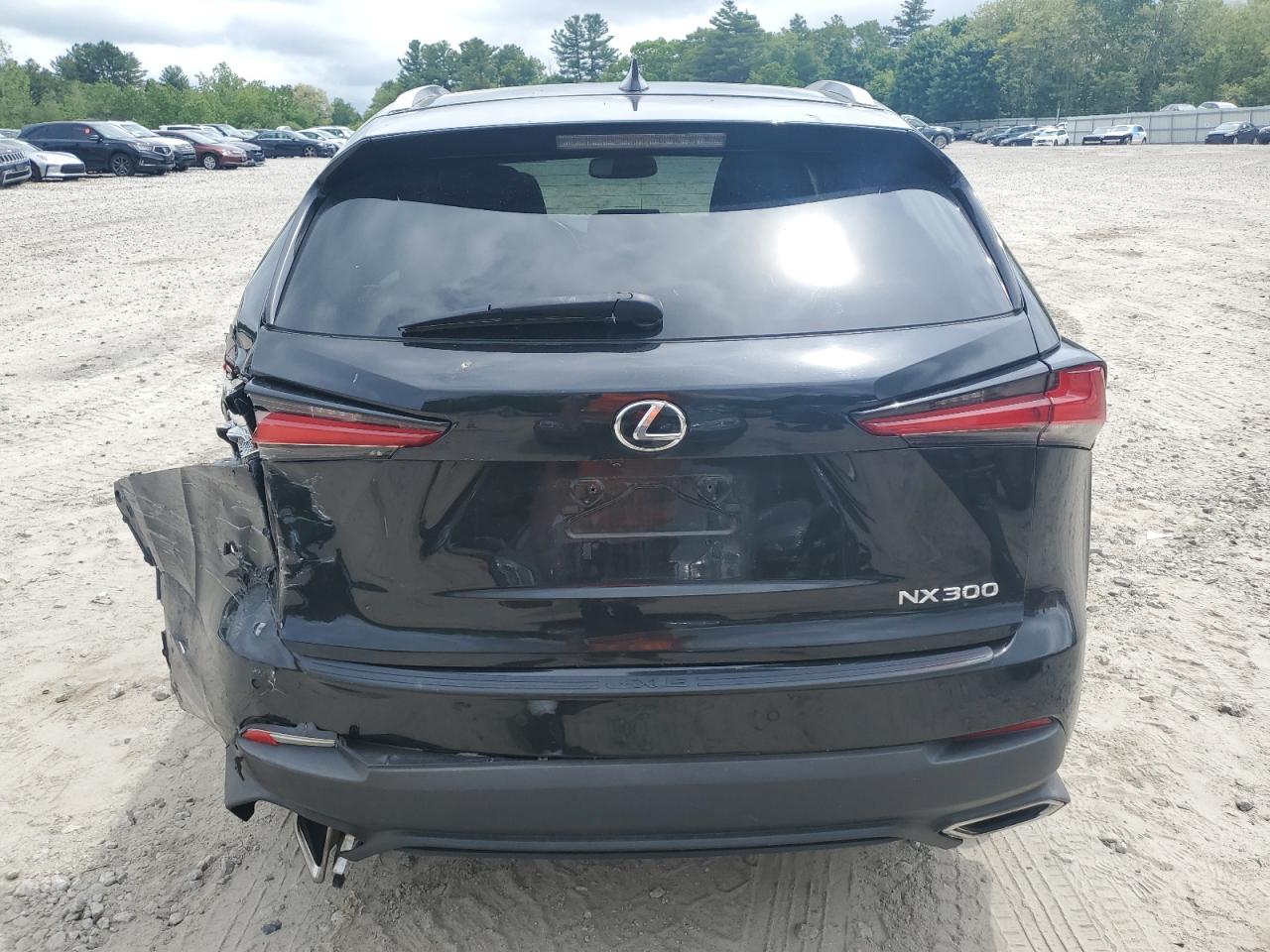 2019 Lexus Nx 300 Base VIN: JTJBARBZ0K2214030 Lot: 58121805