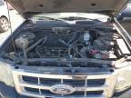 2010 Ford Escape Xlt იყიდება Eugene-ში, OR - Side