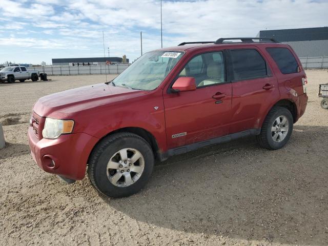 2008 Ford Escape Limited