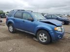 2009 Ford Escape Xlt de vânzare în Elgin, IL - Front End