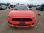 2017 Ford Mustang  for Sale in Elgin, IL - Rear End