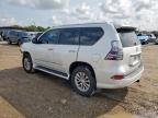 2016 Lexus Gx 460 en Venta en Houston, TX - Front End