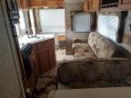 2009 Palomino Puma for Sale in Shreveport, LA - Hail