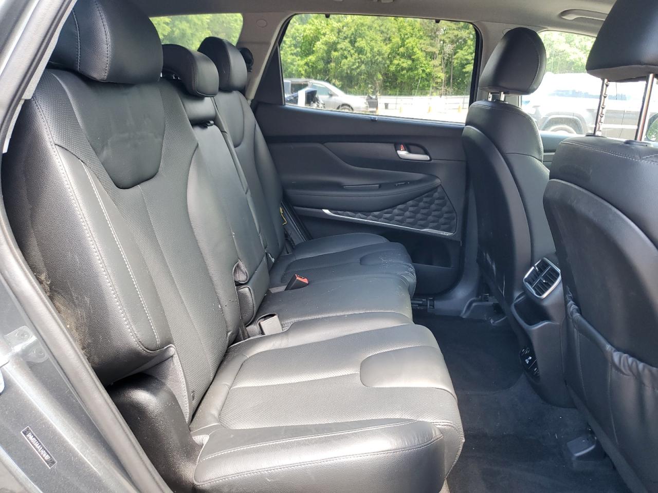 2020 Hyundai Santa Fe Limited VIN: 5NMS53AA1LH216107 Lot: 56628985