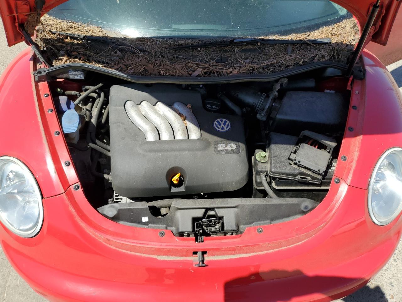 2000 Volkswagen New Beetle Gls VIN: 3VWCA21C5YM407817 Lot: 56502125