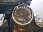 2023 Harley-Davidson Flhcs  იყიდება Denver-ში, CO - All Over