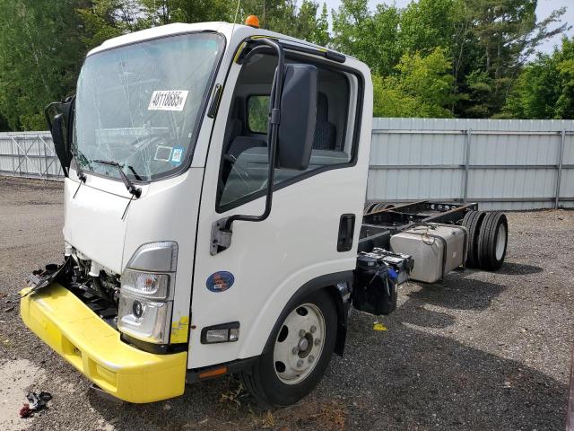 2024 Isuzu Nrr 