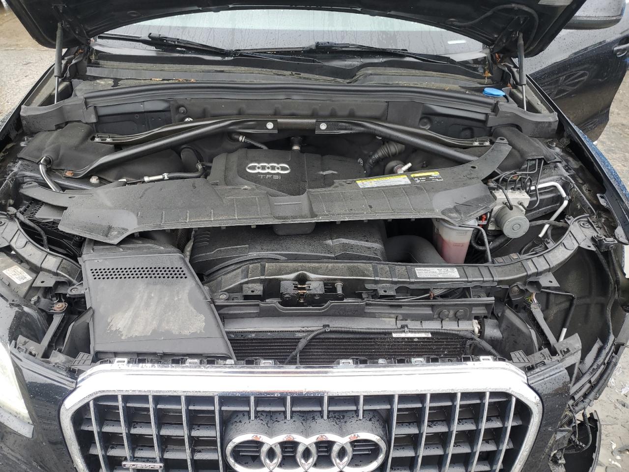 2013 Audi Q5 Premium Plus VIN: WA1LFAFP3DA099199 Lot: 57780945