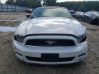 Hampton, VA에서 판매 중인 2014 Ford Mustang    - Front End