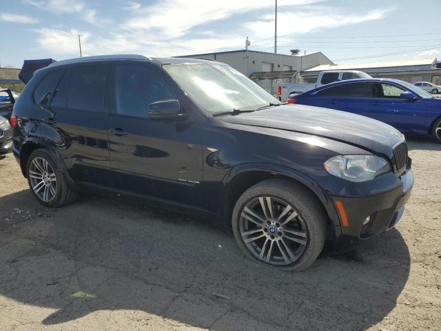 Parquets BMW X5 2013 Black
