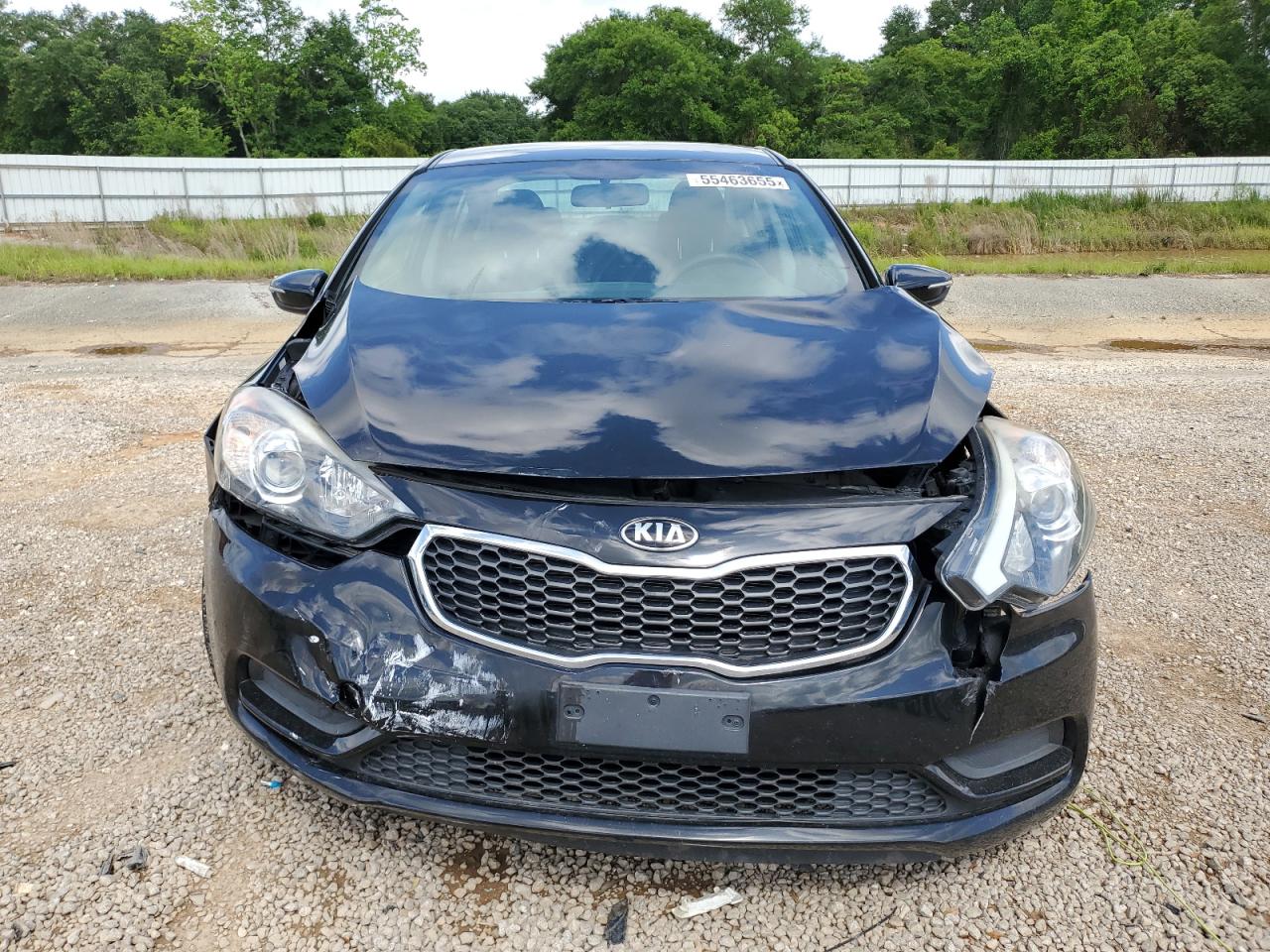 2016 Kia Forte Lx VIN: KNAFX4A6XG5597359 Lot: 55463655