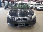 2011 Honda Accord Exl იყიდება East Granby-ში, CT - Minor Dent/Scratches