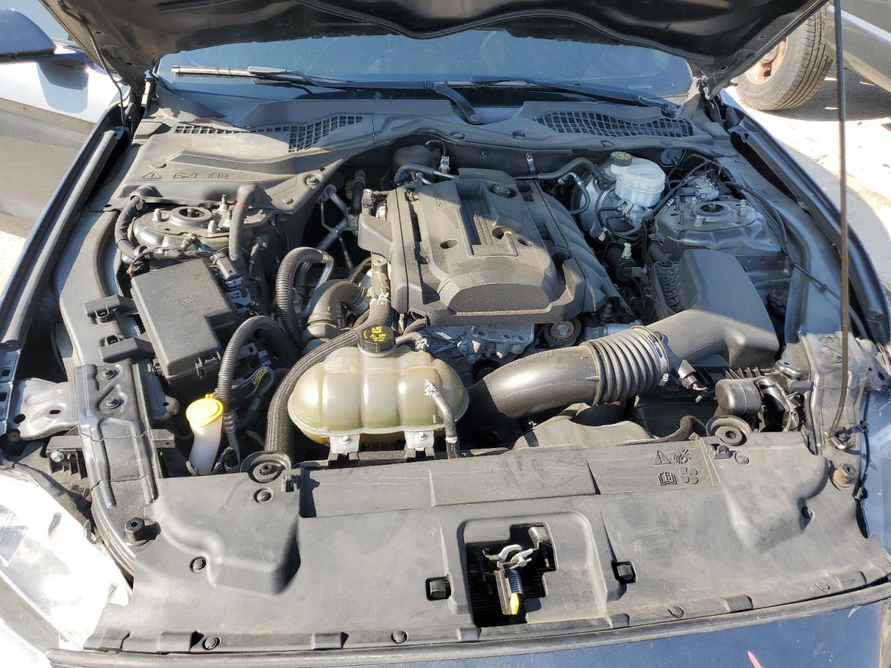 2019 Ford Mustang VIN: 1FA6P8TH8K5118816 Lot: 57570375