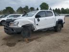 2019 Chevrolet Colorado Zr2   продається в Elgin, IL - Water/Flood