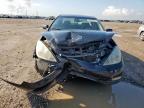 2004 Lexus Es 330 for Sale in Houston, TX - Front End