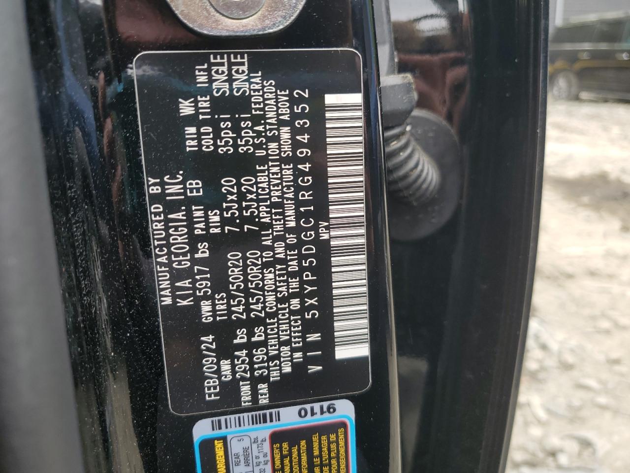 2024 Kia Telluride Sx VIN: 5XYP5DGC1RG494352 Lot: 58260515