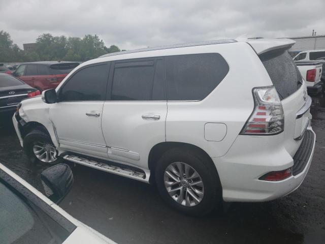  LEXUS GX 2019 Biały