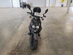 2021 Genuine Scooter Co. Roughhouse 50 for Sale in Avon, MN - Vandalism