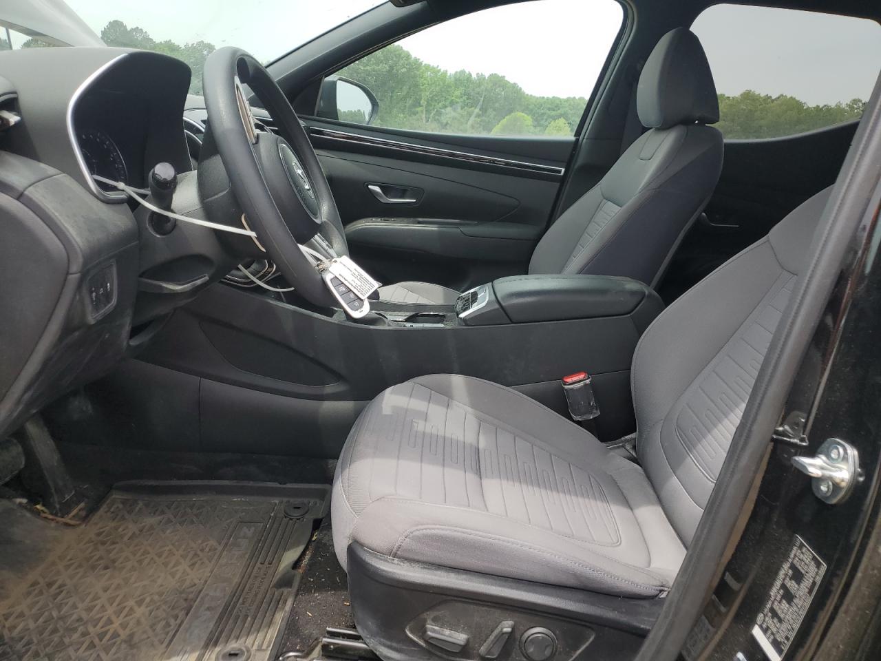 2024 Hyundai Santa Cruz Sel VIN: 5NTJBDDE2RH116507 Lot: 57337055