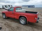 2004 Dodge Dakota Sxt for Sale in Greenwood, NE - Hail