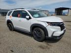 2025 Honda Pilot Touring en Venta en Helena, MT - Biohazard/Chemical