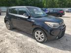 2014 Kia Soul + for Sale in Knightdale, NC - Rear End