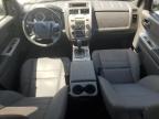 2012 Ford Escape Xlt for Sale in Ham Lake, MN - Normal Wear