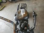 Albuquerque, NM에서 판매 중인 2002 Suzuki Vl800  - Burn