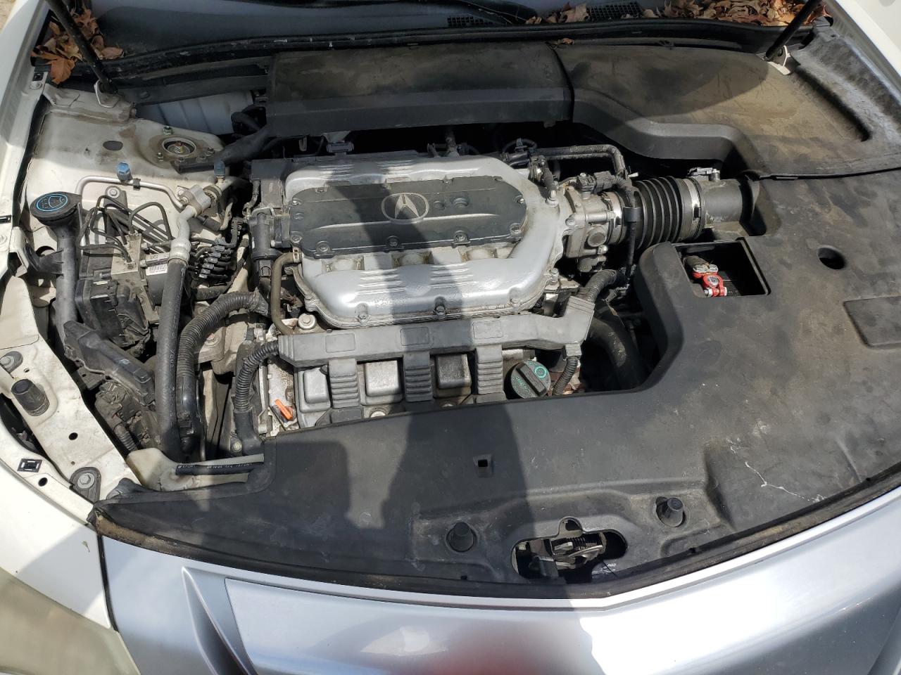 2010 Acura Tl VIN: 19UUA8F20AA009168 Lot: 54758085