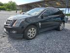 2011 Cadillac Srx Performance Collection for Sale in Cartersville, GA - Rear End