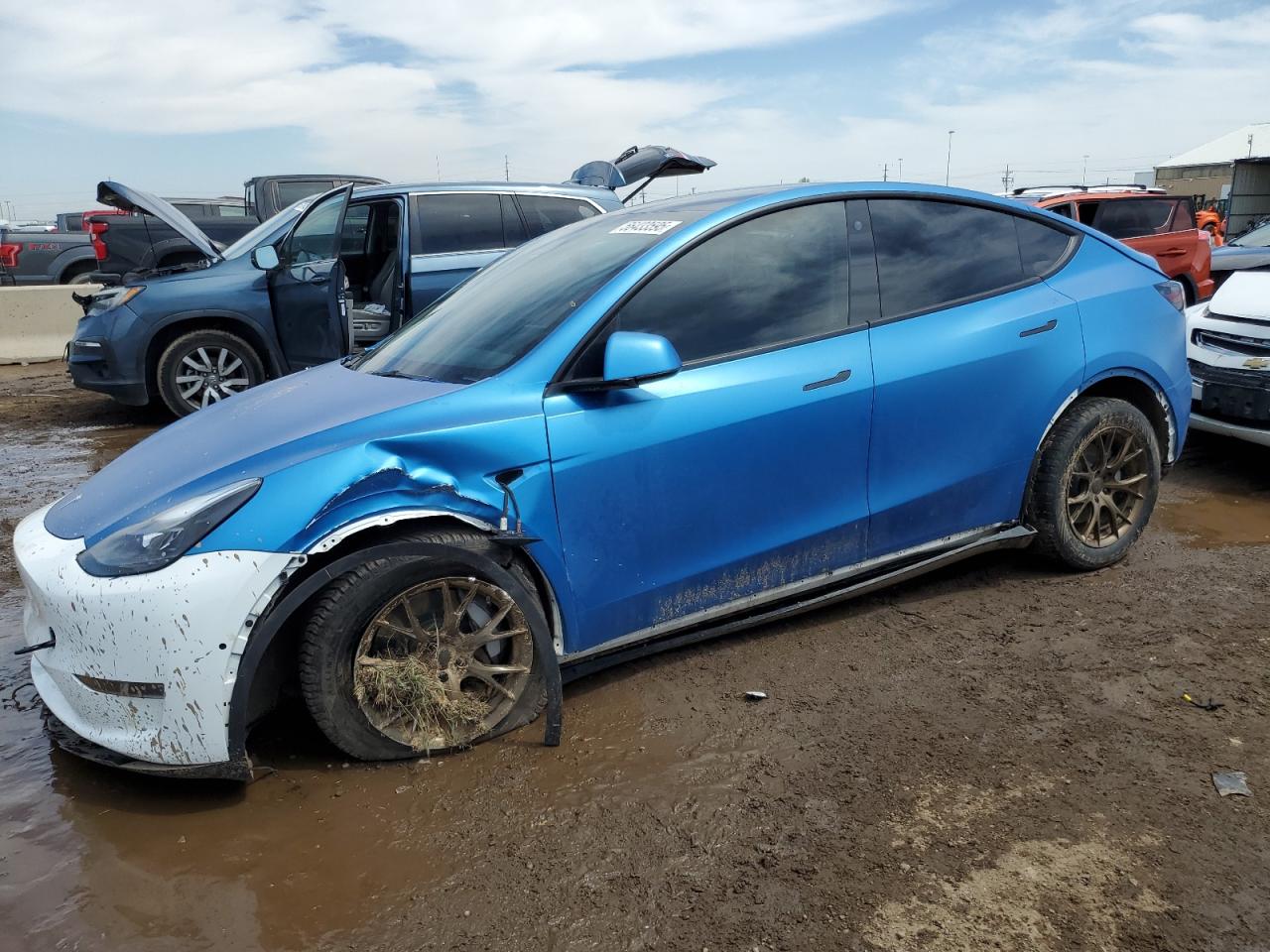 2021 Tesla Model Y for Sale in Brighton, CO - Front End