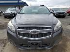 2013 Chevrolet Malibu 1Lt de vânzare în Mcfarland, WI - Hail
