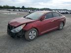 2013 Hyundai Sonata Hybrid for Sale in Lumberton, NC - Front End