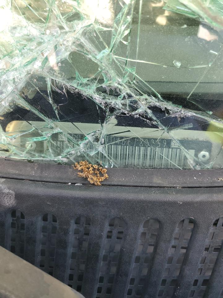 2006 Chevrolet Silverado C2500 Heavy Duty VIN: 1GCHC29U46E183359 Lot: 55293645