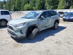 2021 Toyota Rav4 Xle for Sale in Arlington, WA - Front End