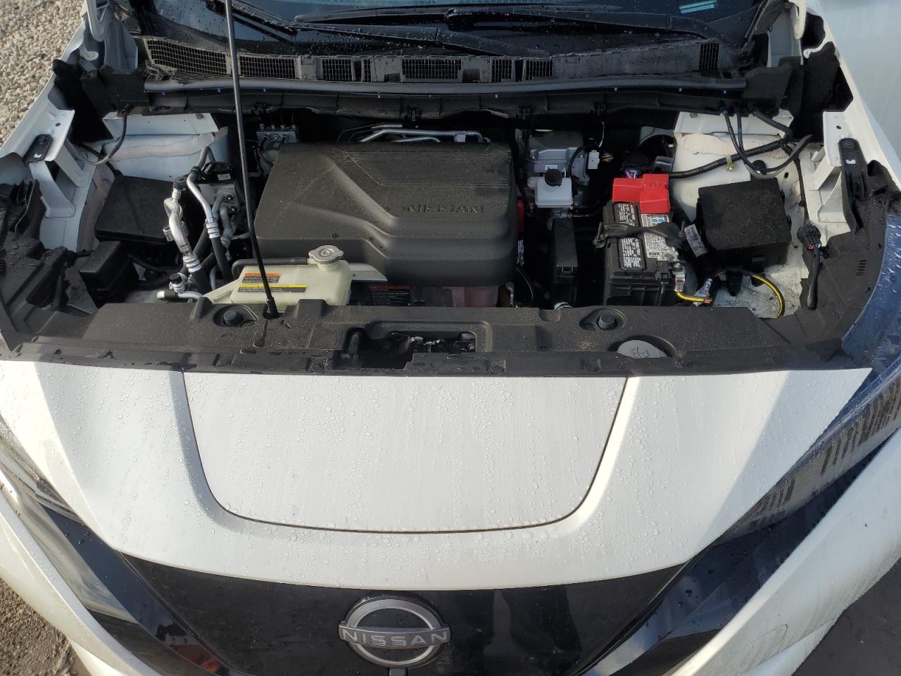 2024 Nissan Leaf Sv Plus VIN: 1N4CZ1CV4RC551937 Lot: 56818215