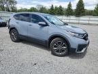 2020 Honda Cr-V Ex zu verkaufen in Albany, NY - Rear End