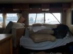 2007 Thmc Motorhome na sprzedaż w Longview, TX - Front End