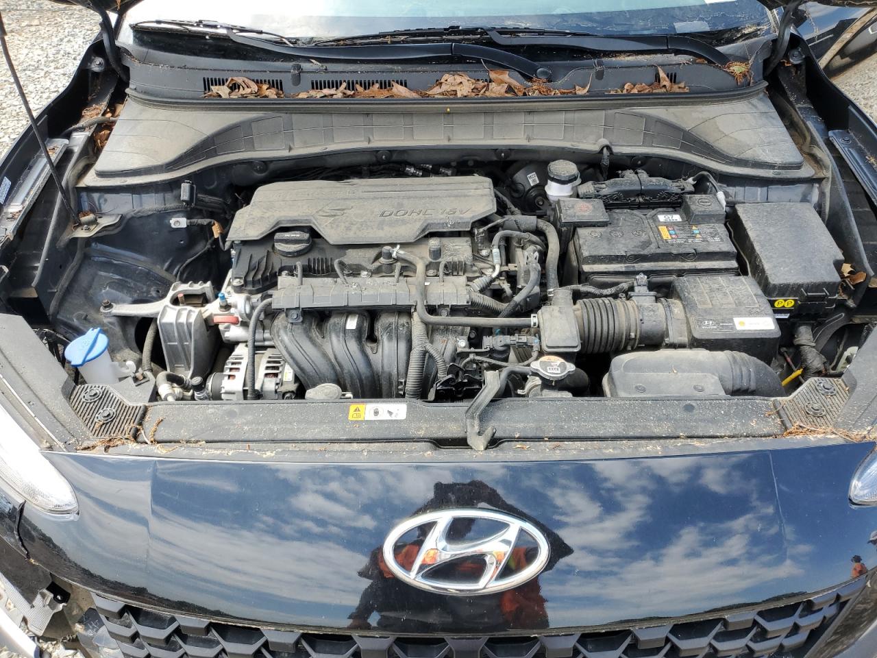 2022 Hyundai Kona Sel VIN: KM8K62ABXNU885368 Lot: 56975435