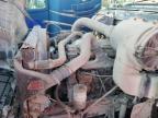 1996 International 9200 for Sale in Riverview, FL - Minor Dent/Scratches