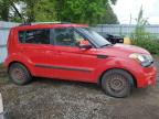 2013 KIA SOUL + à vendre chez Copart ON - LONDON