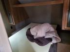 2016 Cata Trailer for Sale in Ellwood City, PA - Hail