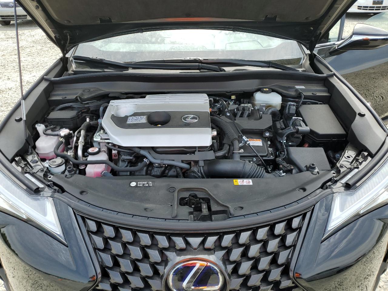2020 Lexus Ux 250H VIN: JTHP9JBH6L2032942 Lot: 56675505