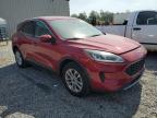2020 Ford Escape Se de vânzare în Spartanburg, SC - Minor Dent/Scratches