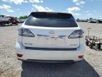 Earlington, KY에서 판매 중인 2010 Lexus Rx 350   - Front End