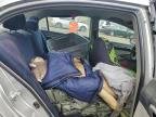 2006 Honda Civic Hybrid for Sale in Baltimore, MD - Biohazard/Chemical
