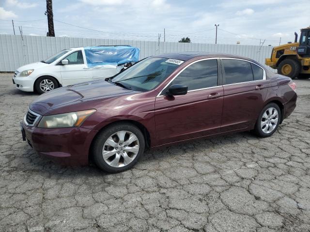 2010 Honda Accord Ex