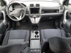 2007 Honda Cr-V Ex   на продаже в Windsor, NJ - Side
