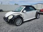 2010 Volkswagen New Beetle  for Sale in Albany, NY - Front End