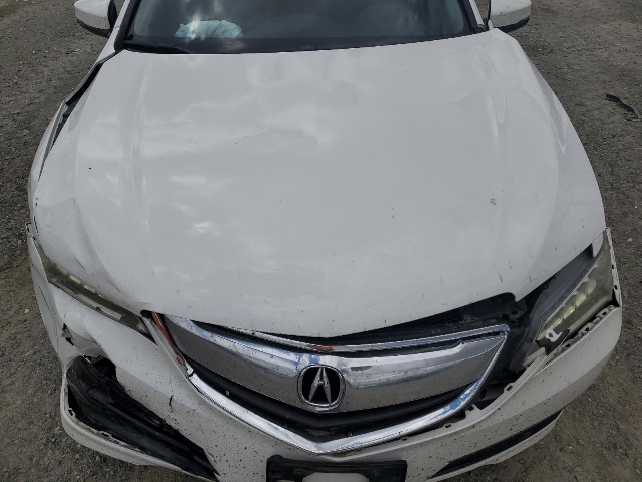 2016 Acura Tlx VIN: 19UUB1F31GA003854 Lot: 56863175